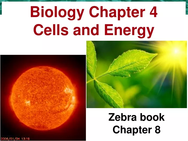 biology chapter 4 cells and energy