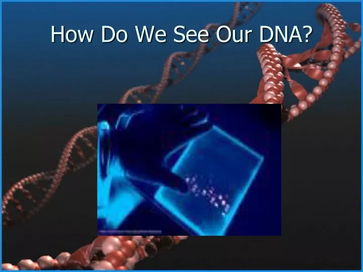 how do we see our dna