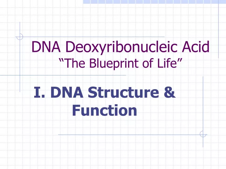 dna deoxyribonucleic acid the blueprint of life