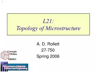 L21:  Topology of Microstructure