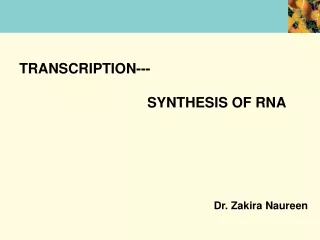 TRANSCRIPTION--- SYNTHESIS OF RNA