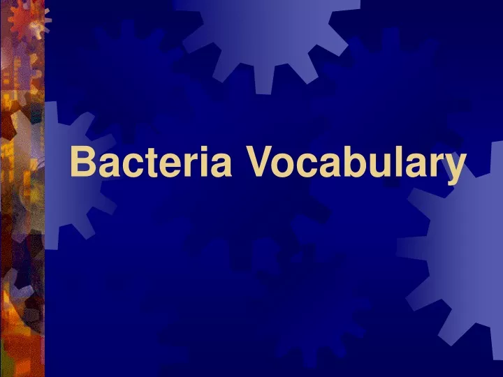 bacteria vocabulary