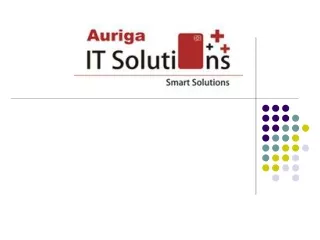 Auriga IT Solutions – Team Profile