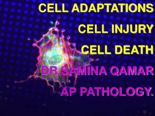 CELL ADAPTATIONS CELL INJURY CELL  DEATH DR.SAMINA QAMAR AP PATHOLOGY.