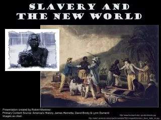 Slavery and the New World