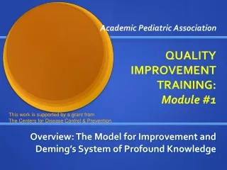 Academic Pediatric Association QUALITY IMPROVEMENT TRAINING:  Module #1