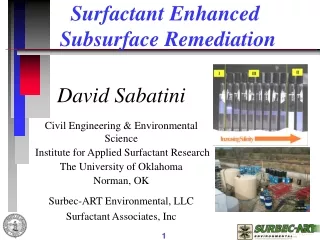 David Sabatini Civil Engineering &amp; Environmental Science