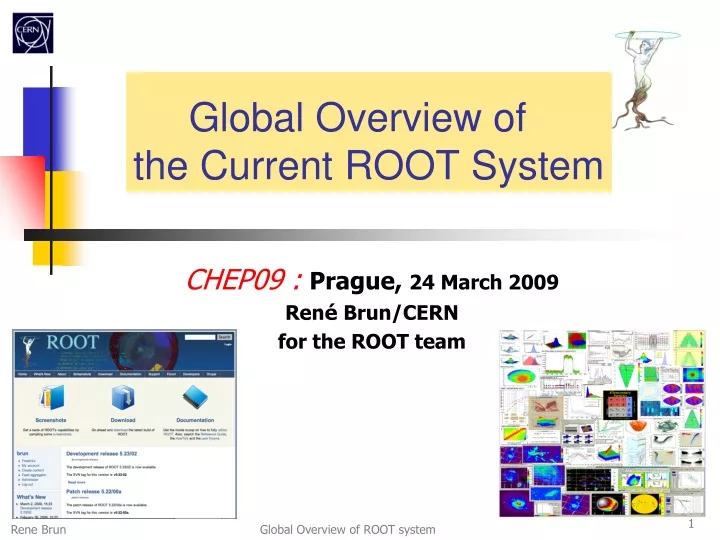 global overview of the current root system