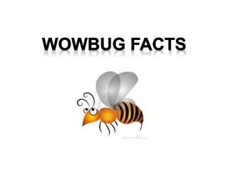 wowbUG fACTS