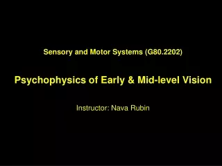 Sensory and Motor Systems (G80.2202) Psychophysics of Early &amp; Mid-level Vision