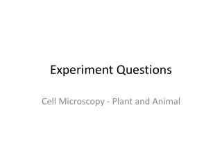Experiment Questions