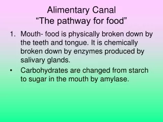 Alimentary Canal “The pathway for food”