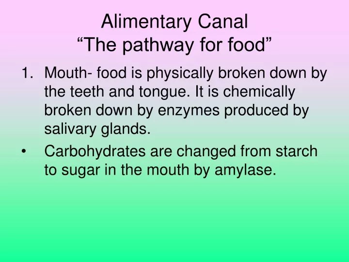 alimentary canal the pathway for food