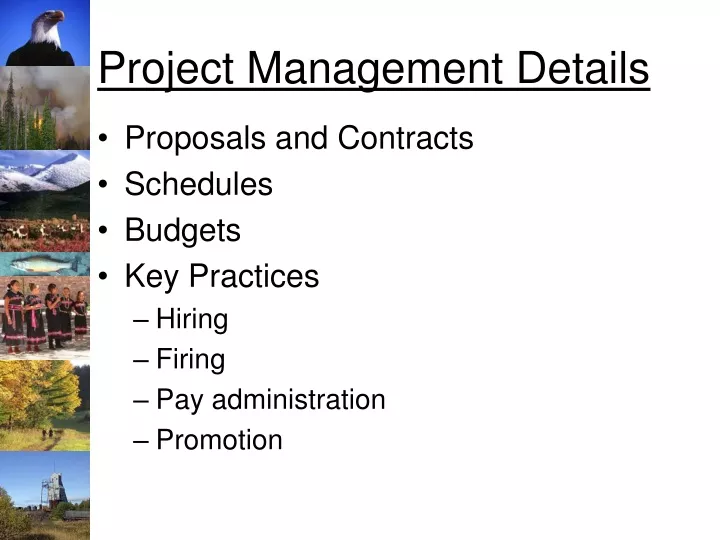 project management details