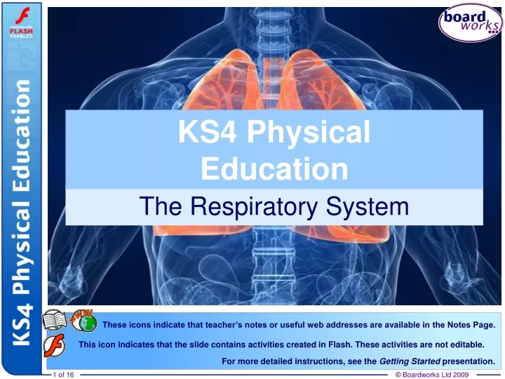 the respiratory system