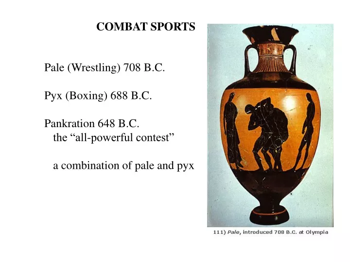 combat sports