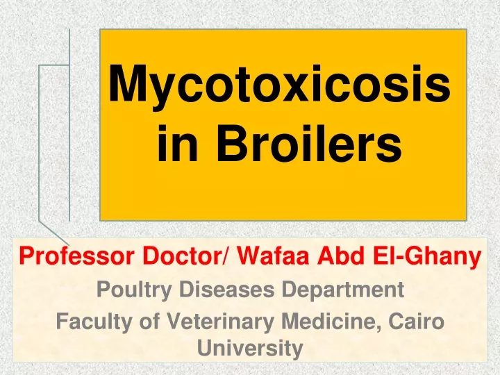 mycotoxicosis in broilers