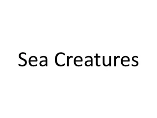 Sea Creatures