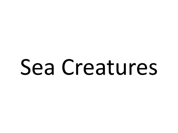 sea creatures