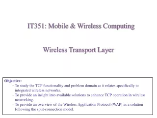 Wireless Transport Layer
