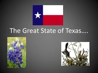 The Great State of Texas….