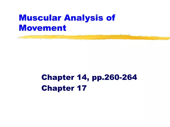 muscular analysis of movement