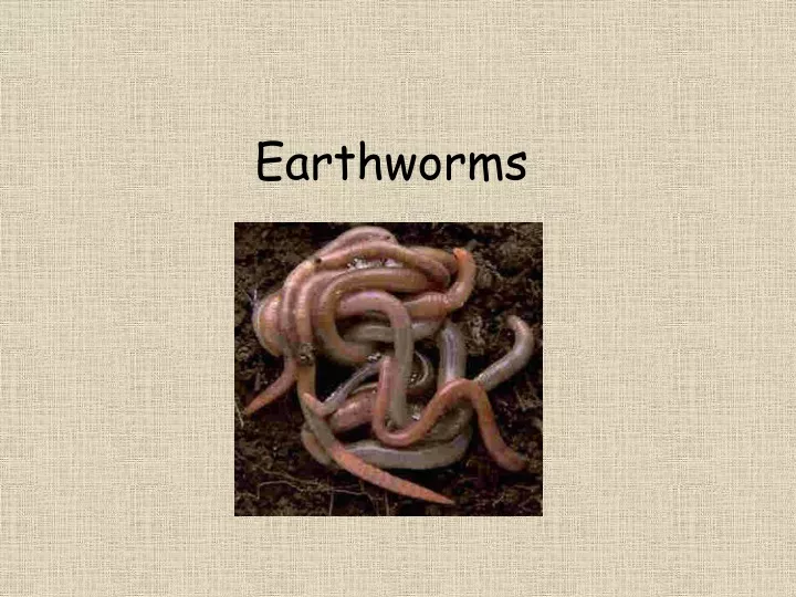 earthworms