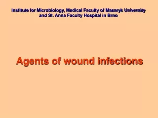 Agents of wound infections