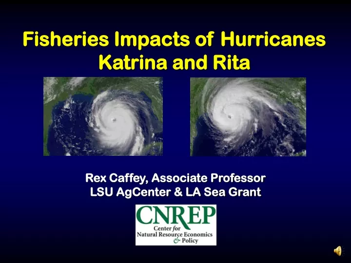 fisheries impacts of hurricanes katrina and rita