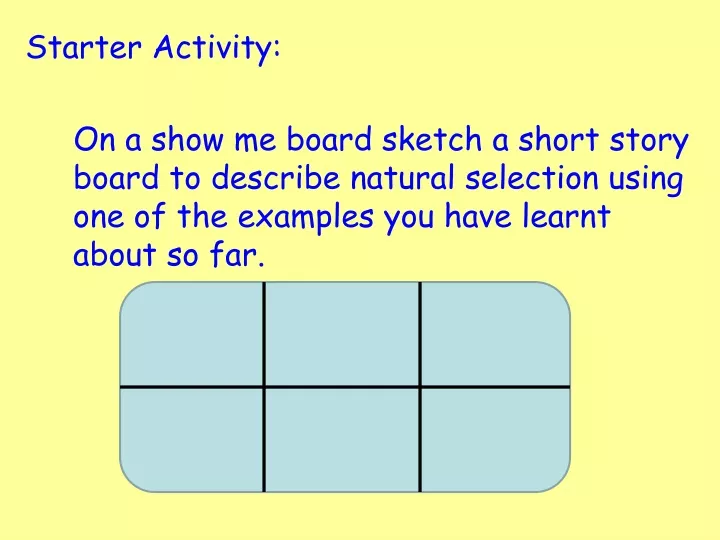 starter activity on a show me board sketch
