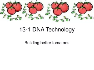 13-1 DNA Technology