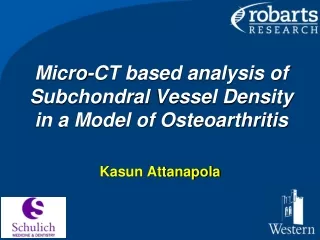 Micro-CT based analysis of  Subchondral  Vessel Density in a Model of Osteoarthritis