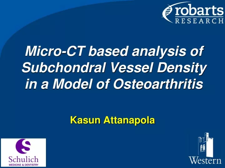 micro ct based analysis of subchondral vessel density in a model of osteoarthritis
