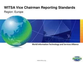 WITSA Vice Chairman Reporting Standards