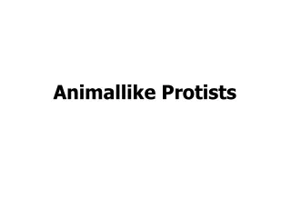 Animallike Protists