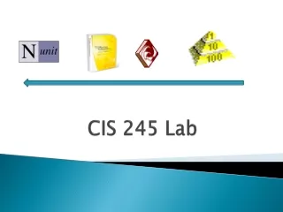 CIS 245 Lab