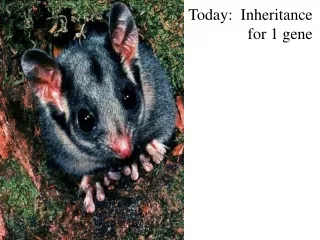 Today:  Inheritance for 1 gene