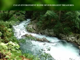 CLEAN ENVIRONMENT IS ONE OF OUR BIGGEST TREASURES.