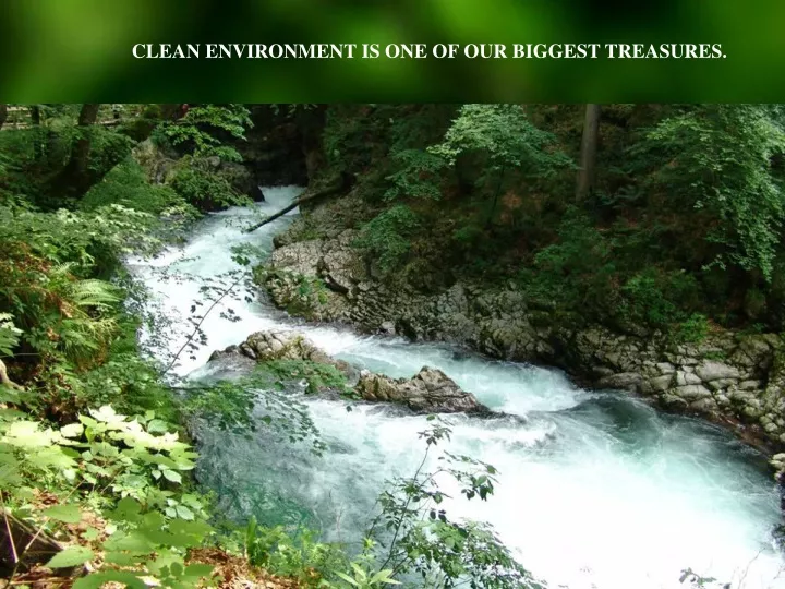 clean environment is one of our biggest treasures