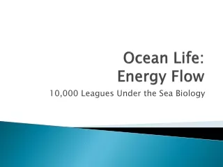 Ocean Life: Energy Flow
