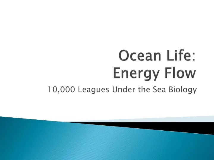 ocean life energy flow