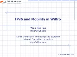 IPv6 and Mobility in WiBro