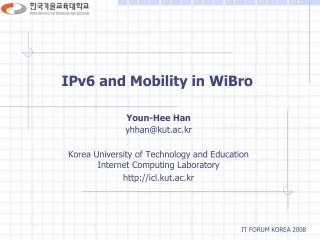 ipv6 and mobility in wibro