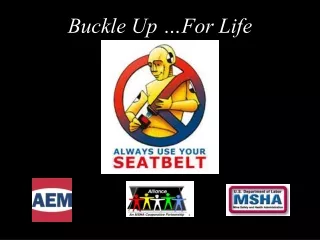 Buckle Up …For Life