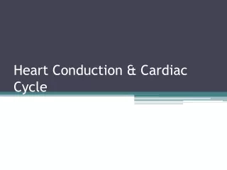 Heart Conduction &amp; Cardiac Cycle