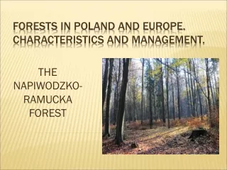 FORESTs  IN POLAND AND EUROPE. CHARACTERISTICS AND MANAGEMENT.