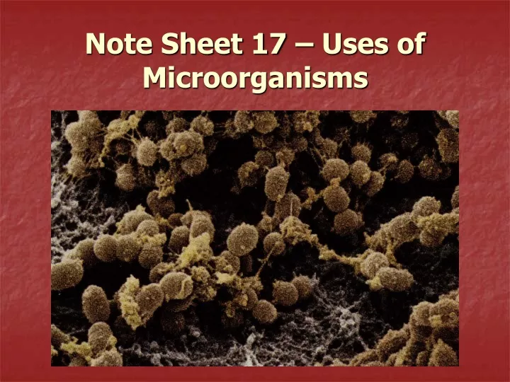 note sheet 17 uses of microorganisms