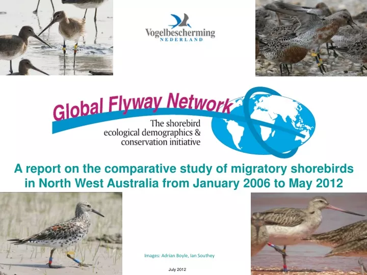 a report on the comparative study of migratory