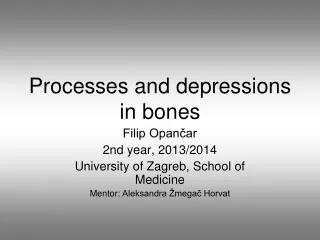 Processes and depressions in bones
