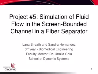 Project #5: Simulation of Fluid Flow in the Screen-Bounded Channel in a Fiber Separator